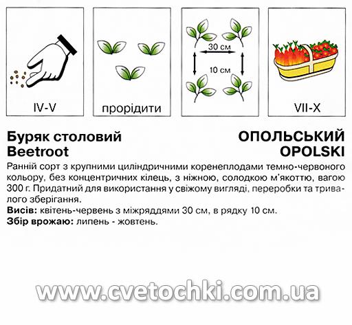 Буряк «Опольський» (15 г), ТМ «Коуел»