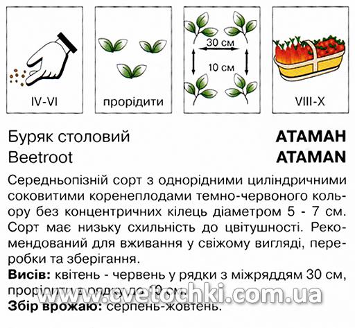 Буряк «Отаман» (3 г), ТМ «Коуел»