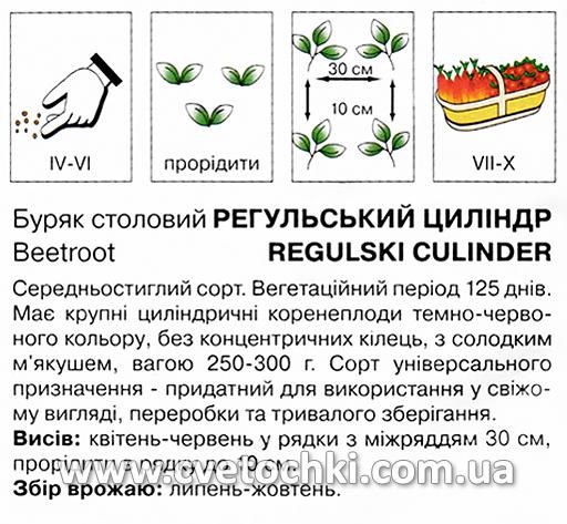 Буряк «Регульський циліндр» (3 г), ТМ «Коуел»