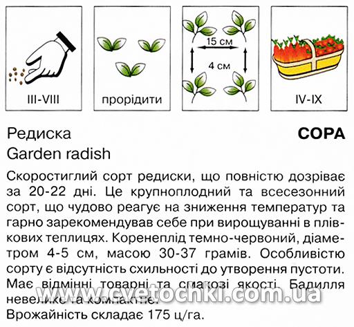 Редиска «Сора» (20 г), ТМ «Коуел»