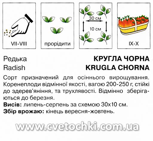 Редька кругла чорна (5 г), ТМ «Коуел»