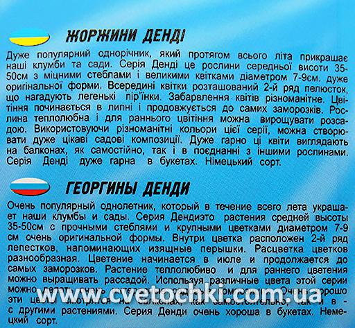 Жоржина «Денді» (20 шт.), ТМ «Геліос»